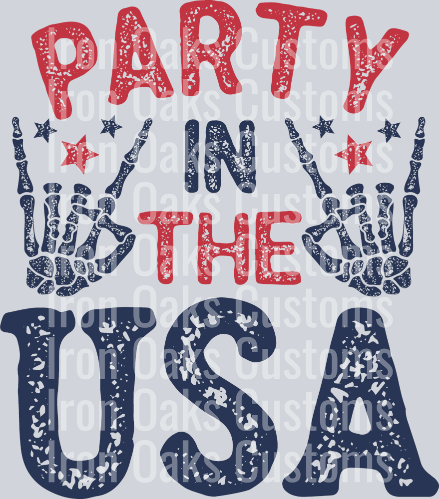 Party In The USA