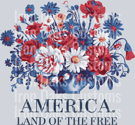 America land of the free (4)