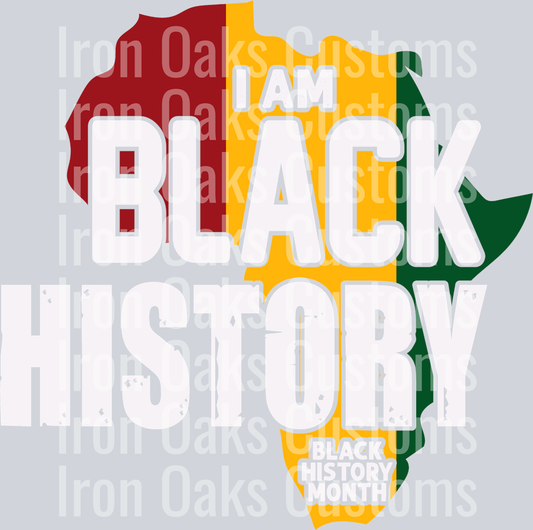 blackhistoryame (7)