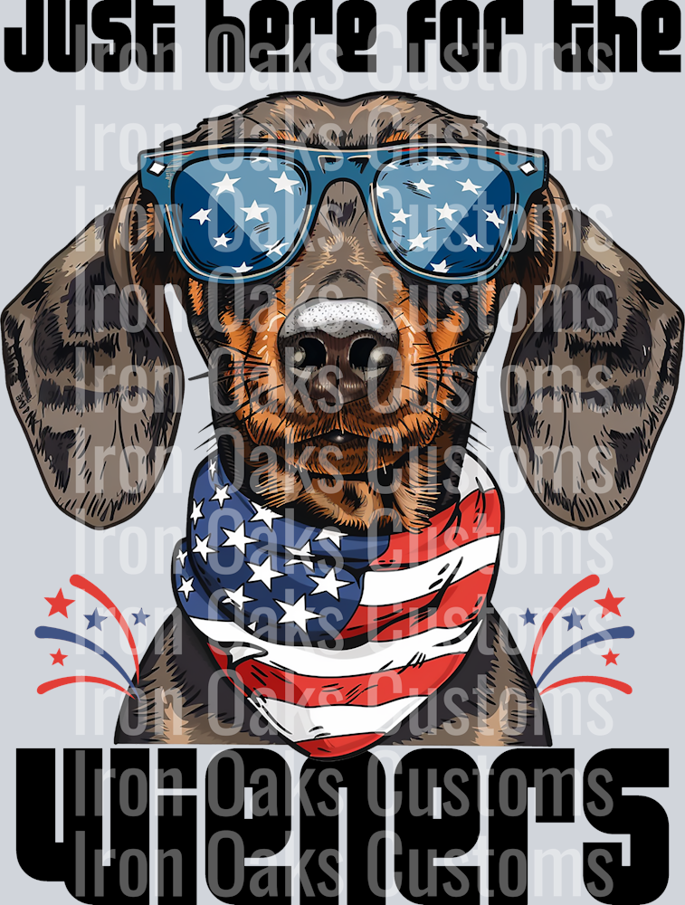 usa weiner