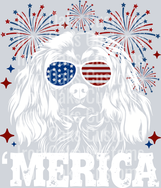 Dog patriotic white