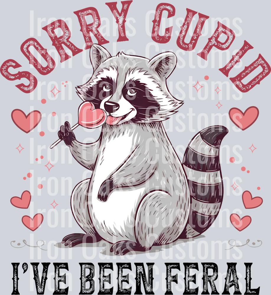 Copy of sorry cupid