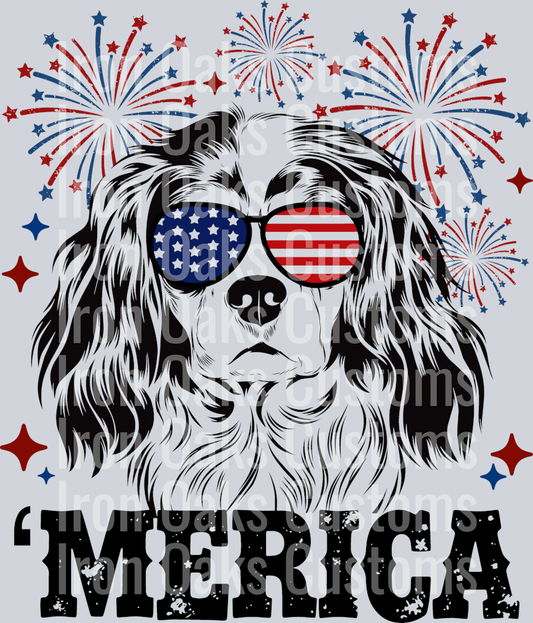 Dog patriotic black