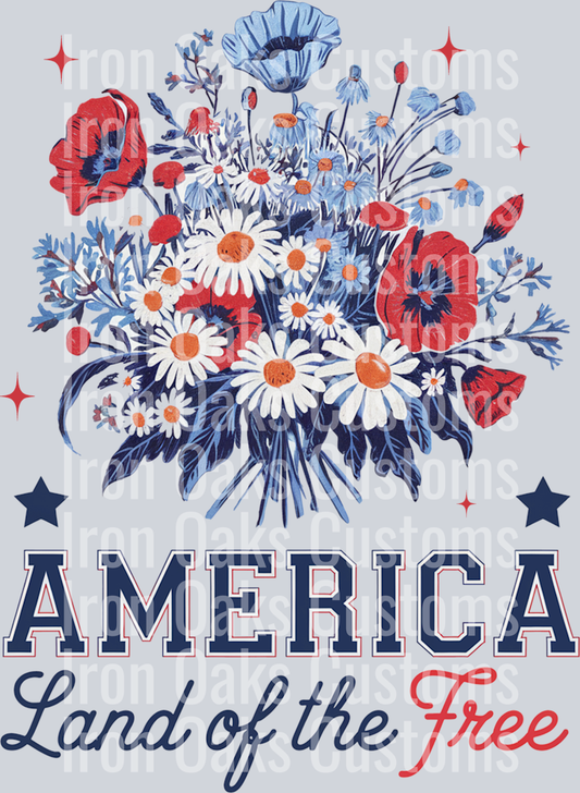 America land of the Free