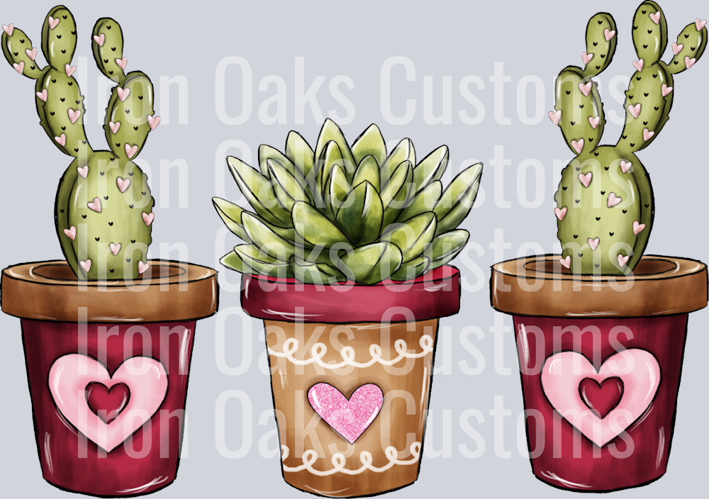 Copy of CACTUS
